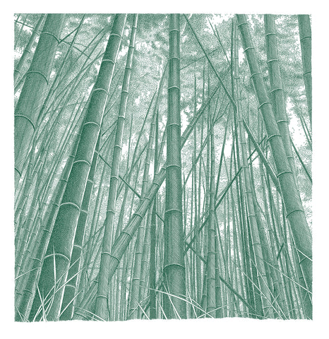 'Bamboo Grove, Kyoto' Sage Green Colour Ink-Jet Print